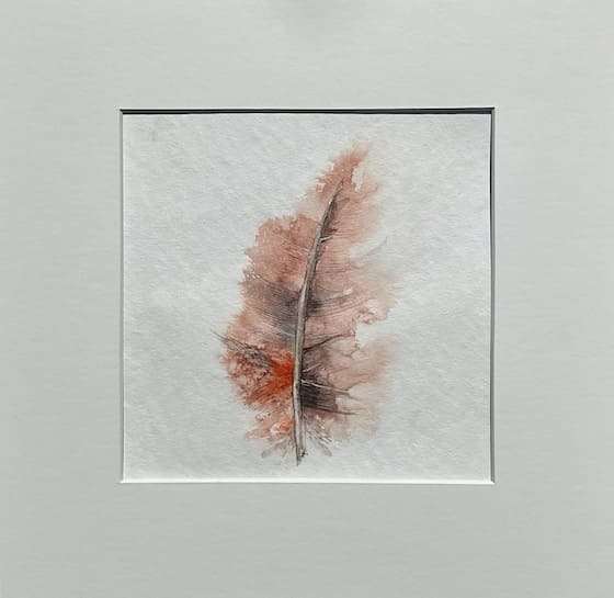 Feder-rot-54