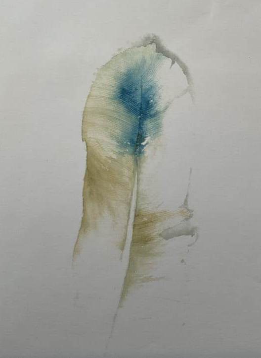 Feder-blau-38