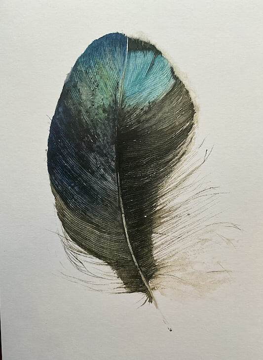 Feder-blau-36