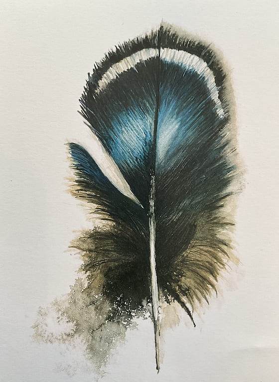 Feder-blau-35
